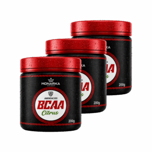 Bcaa Aminoácidos Essenciais 600g